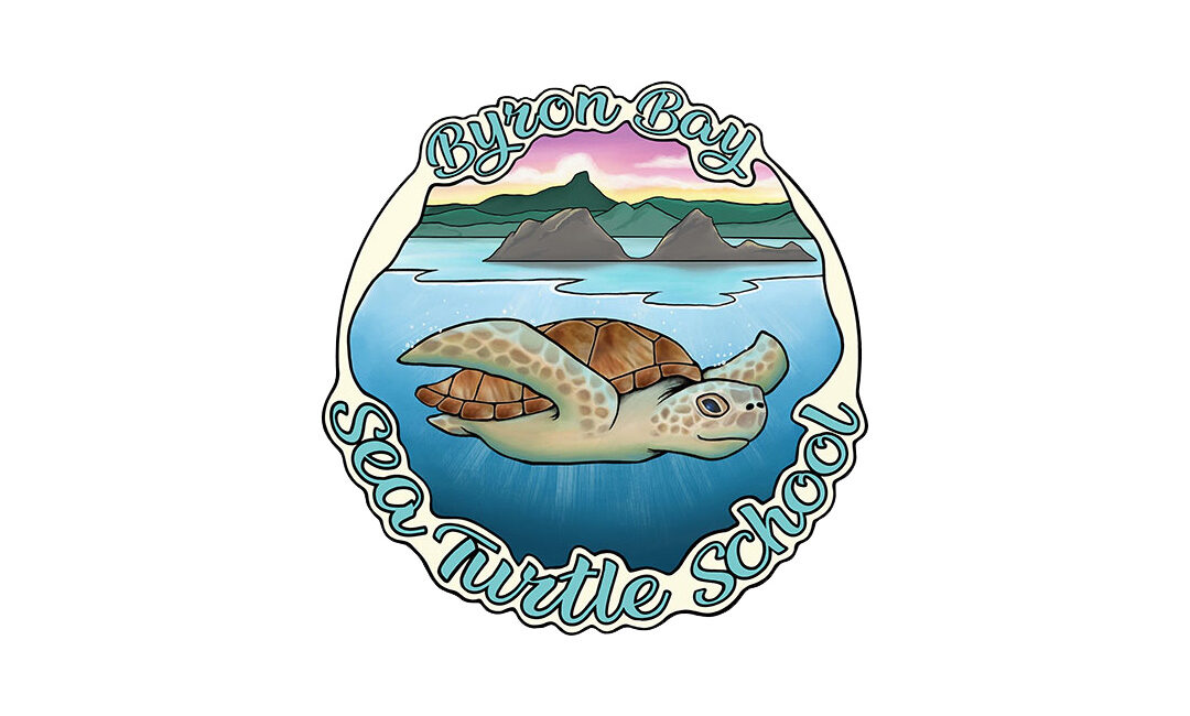 byron bay sea turtle school - fizbits client